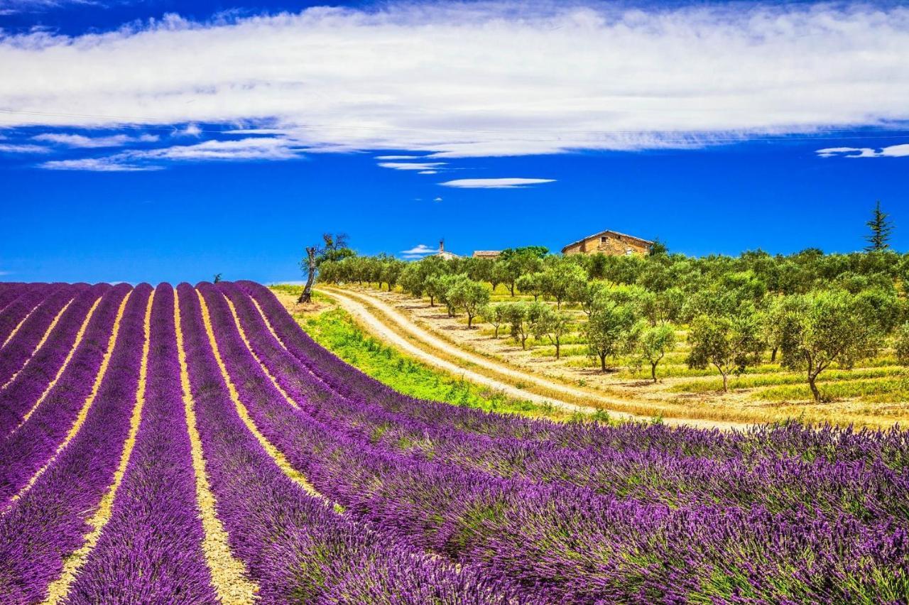 La Maison Des Collines Allemagne-en-Provence Kültér fotó
