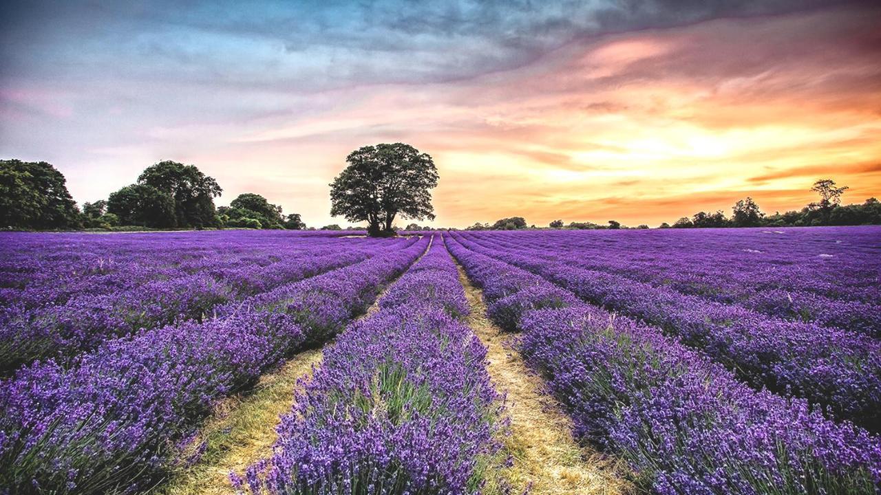 La Maison Des Collines Allemagne-en-Provence Kültér fotó