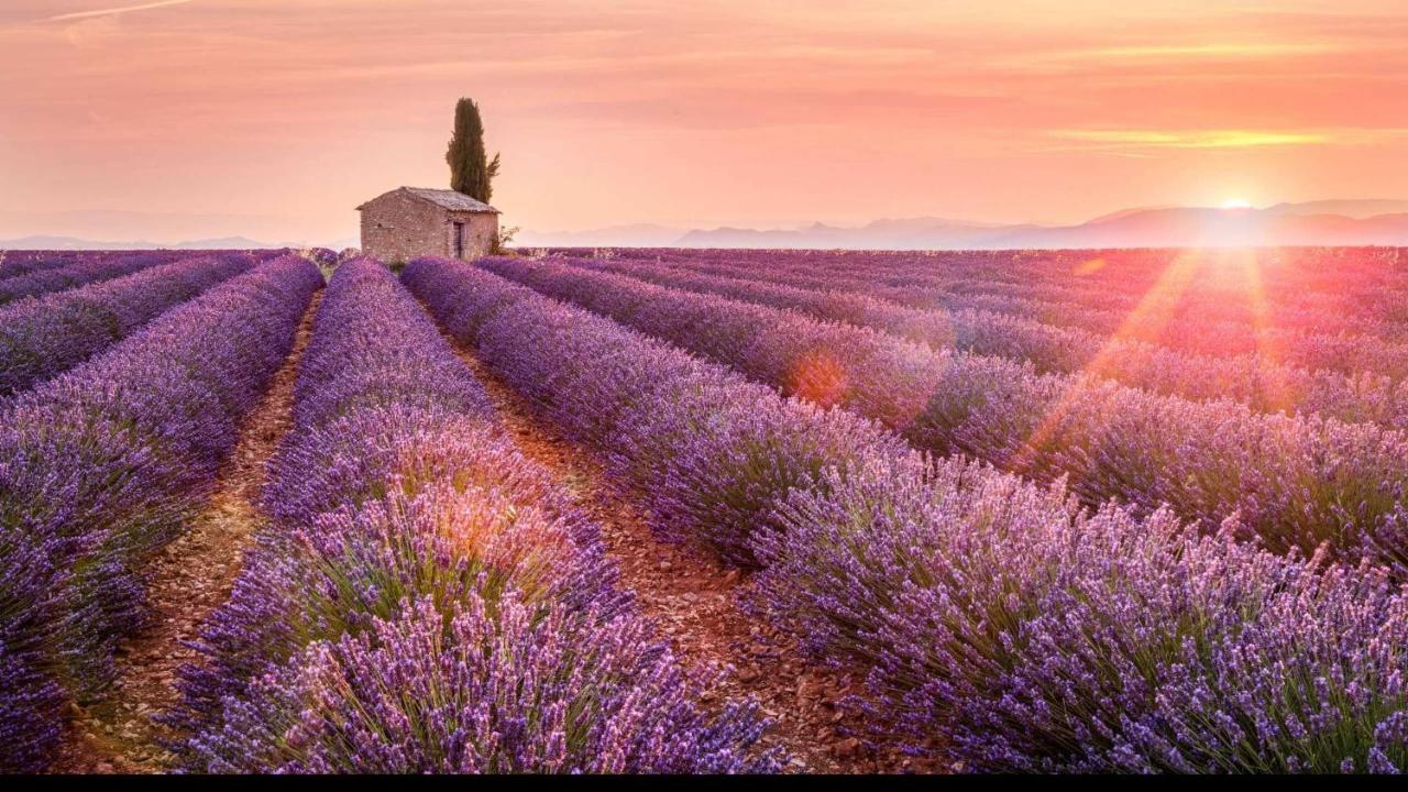 La Maison Des Collines Allemagne-en-Provence Kültér fotó